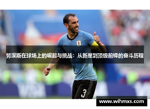 努涅斯在球场上的崛起与挑战：从新星到顶级前锋的奋斗历程