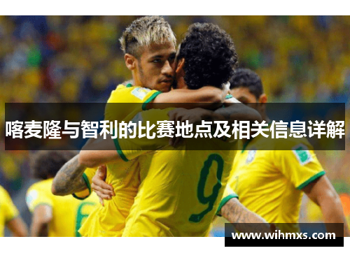 喀麦隆与智利的比赛地点及相关信息详解