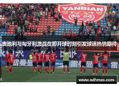 奥地利与匈牙利激战在即开球时刻引发球迷热情期待