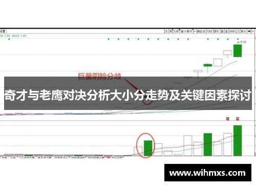 奇才与老鹰对决分析大小分走势及关键因素探讨