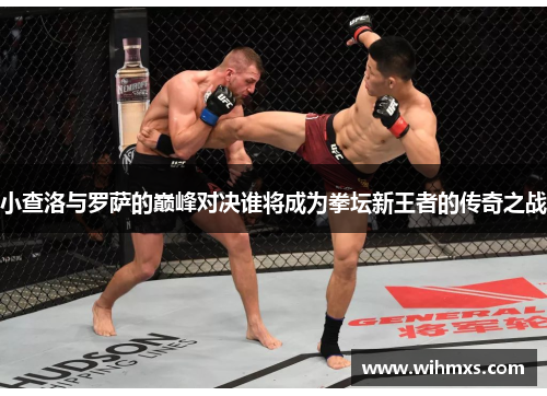 小查洛与罗萨的巅峰对决谁将成为拳坛新王者的传奇之战