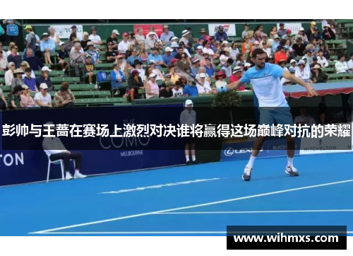 彭帅与王蔷在赛场上激烈对决谁将赢得这场巅峰对抗的荣耀